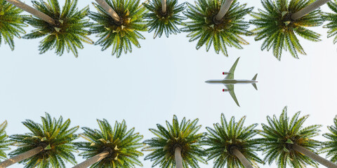 airplane flying over palm trees. summer time