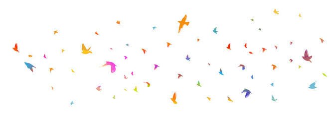 Bird watercolor. A flock of colorful birds. Mixed media. Vector illustration