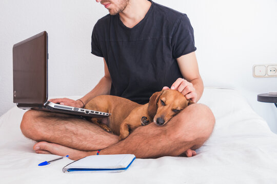 young man with dog working