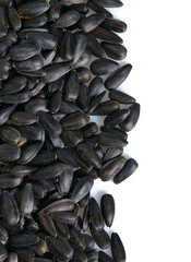 a pile of sunflower seeds isolated on white background