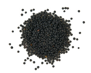black lentils isolated on white background