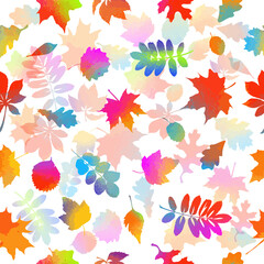 Obraz premium A seamless background with multicolored autumn leaves. Vector illustration