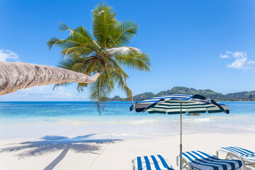 Cocotier penché, transats et parasol sur plage paradisiaque des Seychelles 