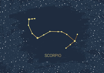 Obraz na płótnie Canvas Hand drawn card of gold Scorpio, star, brush. Constellation celestial space. Zodiac horoscope symbol, star astrology, astrology sign, icon. Magic space galaxy, vector sketch illustration