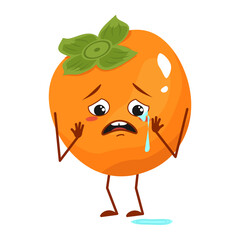 Cute persimmon character with crying and tears emotions, face, arms and legs. The funny or sad hero, frui