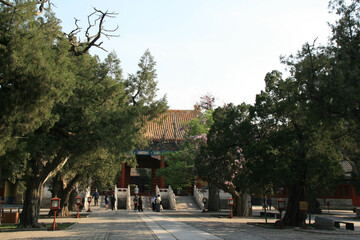 confucius temple in beijing (china) 