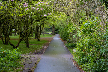 Fototapeta premium footpath in the park