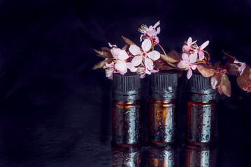 Closeup of three brown-glass plain flasks with black covers and pink spray of blossom on top, placed on wet black reflecting surface. Cosmetic raw materials concept.