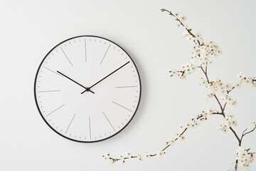 Wall clock and plant branch on white background
