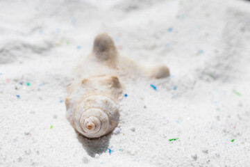 Shell tells about cleanliness and naturalness in laundry detergent powder.