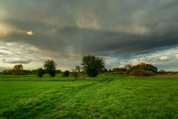 Obraz premium Green meadow with road and rain cloud, Nowiny, Poland