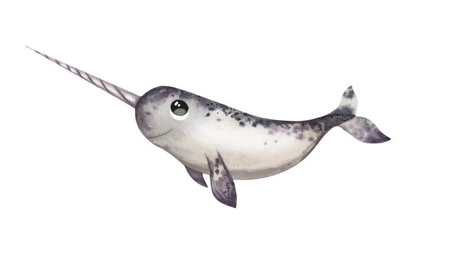 recommend clip art: Cute baby shower narwhal mammal fish. Adorable watercolor arctic sea creature hand drawn illustration clip art.
