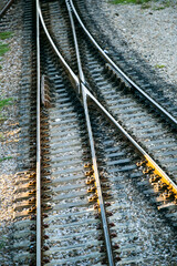 Fototapeta premium railroad tracks in the distance