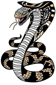 cobra poisonous snake in a defensive position. Attacking posture. Tattoo style vector illustration