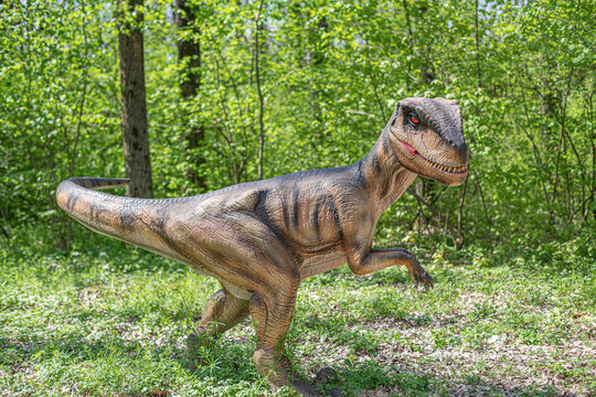 Beregovo, Ukraine - May 4, 2021: Dinosaur from Dino-Park, Dinosaur in the jungle.