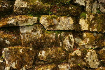 Moss covered stone wall at at Enryakuji Temple (Mount Hieizan) Toudou in Shiga prefecture, Japan - 比叡山 延暦寺 東塔 石垣