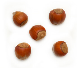 hazelnut top view