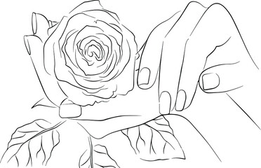 Beautiful vector black and white illustration of a rose in your hands. An idea for fashion illustrations, weddings, magazines, fashion, advertising, interior decoration, for drawing.