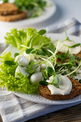 Breakfast with microgreen on a plate. Bread toast, mozzarella cheese, cream sauce. Food with green sprouts of micro green. Healthy diet. Simple food. Salad with sunflower sprouts, arugula, radish