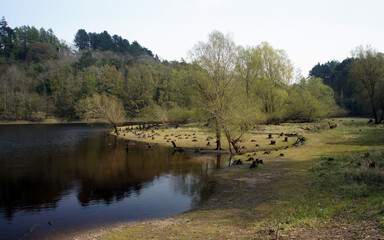 Walk in the spring day around the Bohernabreena reservoir.Ireland.