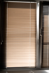 Window blinds that let in sunlight