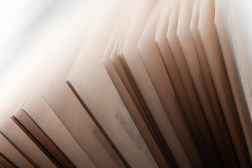 Pages of an open book in rays of light