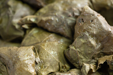 Tolma of grape leaves as background or texture