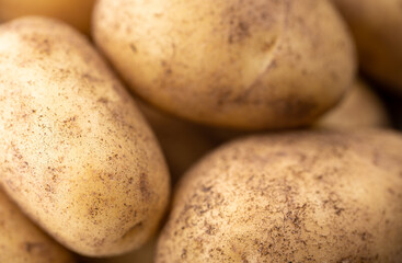 Fresh potatoes in the sun