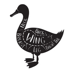 Butcher's guide - duck - vector illustration