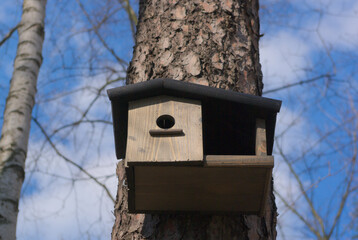 birdhouse in the city park