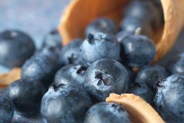 Close up of fresh blue berry with water drops .