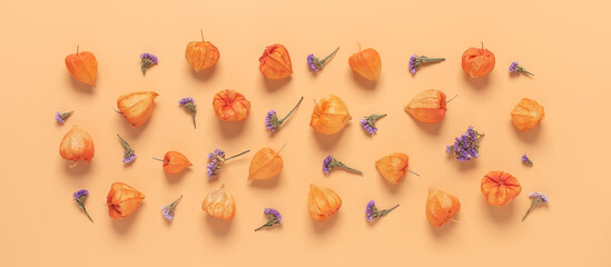 Flower composition. Physalis winter cherry and purple flowers on a pastel yellow background....