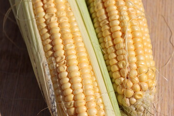 milk corn close up