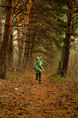 Child runs in the forest, back view. The boy runs away into the coniferous forest