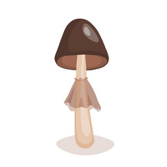 Mushroom icon isolated on white background. Cute fairy mushrooms. Template vector illustration for packaging, banner, card and other design. Food concept