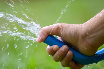 Hand holding blue water hose and watering to the plant in outdoor garden. Gardening...
