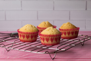 Delicious freshly made vanilla cupcakes on cooling rack