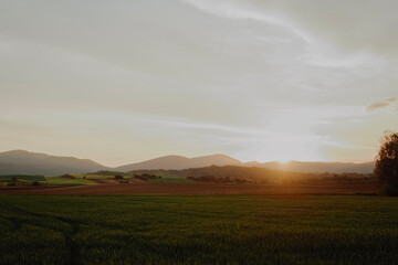 Fototapeta na wymiar landscape sunset field spain in spring summer