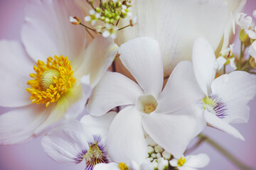 Fototapeta na wymiar abstract white flowers, spring composition, white colors, macro.