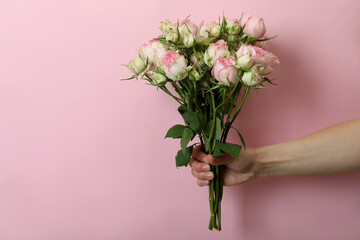 Female hand hold roses on pink background