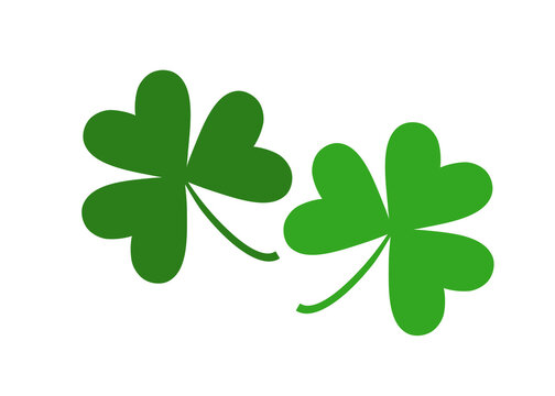 Leaf clover isolated on white, vector illustration for St. Patrick's day
