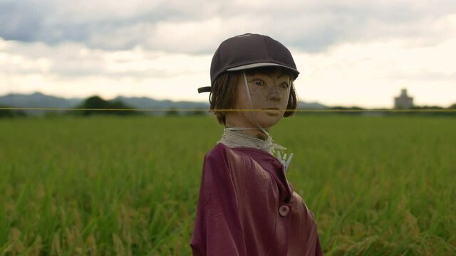 Scarecrows in a Japanese countryside town, at dusk
