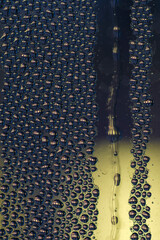 Night view - windows