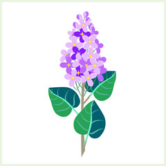 Lilac flower with leaves, pattern.