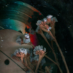 Dry flower on vinyl record music closeup background. Romantic melody. Rainy mood old music image....