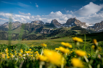 Gipfel des Gantrisch und Nüneneflue im Frühling