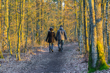Fototapeta premium a walk in the woods full of love