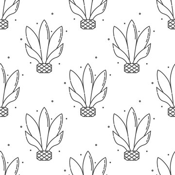 Blue agave plant for distill tequila. Isolated seamless pattern on white background. Flat style image of agricultural product. Black and white repeat template