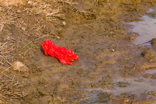 Eine sorglos weggeworfene Plastikt&uuml;te verschmutzt die Umwelt f&uuml;r Jahrzehnte