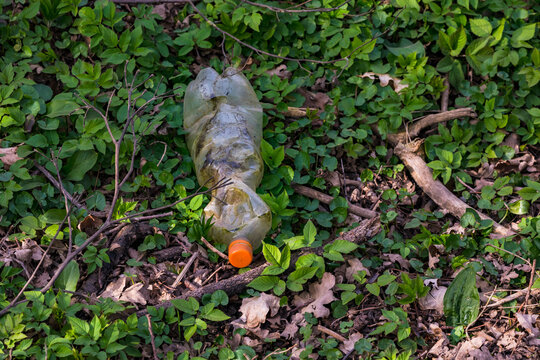 Ein weggeworfene Plastikflasche verrottet nicht im Unterhloz eines Waldes